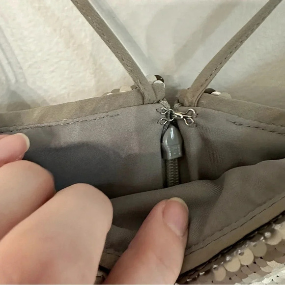 Banana Republic Champagne Sequin Silk Underlay Dress with Straps Size 2 NWT - Picture 7 of 11